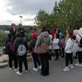 Gli studenti della Beltrani in visita alla discarica e l'isola ecologica di Trani