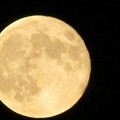 In attesa del crepuscolo per la Superluna  "del Cervo " o  "dei Temporali " su Trani: stasera la più luminosa del 2022