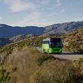 Trani più vicina alla Capitale: FlixBus inaugura la nuova linea diretta per Roma (con fermata in via Superga)
