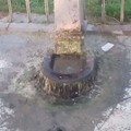 Fontana di piazza albanese: stamane l'intervento di AQP