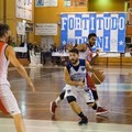 La Fortitudo cala il tris, netta vittoria sulla Pavimaro Molfetta