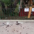 Presepe di piazza Albanese, altri danni e anche il furto di una bici