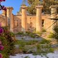 Riapre il Giardino Telesio: finalmente un polmone verde nella zona sud di Trani