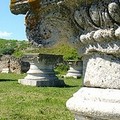 Visita agli scavi archeologici di Herdonia