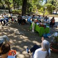 “Folletta per un giorno”: a Palazzo Beltrani una giornata di maglia e solidarietà