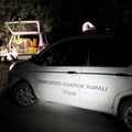 Sventato dalle Guardie Rurali un furto di 20 casse d'uva