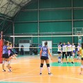 Adriatica volley, ultima partita dell'anno contro De Gasperi Potenza