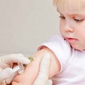 Vaccini, spunta un emendamento per prorogare l'autocertificazione