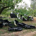 Contrada Casalicchio, ritrovate diverse auto ormai smontate