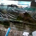 Vandali in azione in Villa comunale, distrutto un acquario