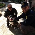 Cani in Villa comunale, ieri anche i controlli delle guardie zoofile