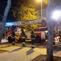 Ramo pericolante nella pinetina di via Andria, l'intervento dei vigili del fuoco scongiura pericoli