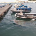Porto di Trani, affonda una piccola imbarcazione da pesca