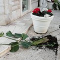 Vandalismo notturno in piazza Libertà: per il gusto di distruggere