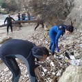 Il Centro Sub Andria e l'associazione Suppiamo ripuliscono a Trani le spiagge di Colonna, Lido Mongelli e Mattinelle