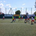 Apulia sconfitta per 0-2 dalla Ternana Femminile