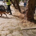 Venticinquenne scomparso, il padre lancia l'appello: «Torna»
