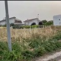 Rischio incendi, Centrone: «Nonostante l'ordinanza, la situazione in città è tutt'altro che fuori pericolo»