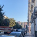 Gabbiano intrappolato su un balcone tratto in salvo dai vigili del fuoco