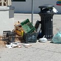  "Questo è un cestino non un cassonetto ", campagna di sensibilizzazione di Amiu contro l'abbandono di rifiuti