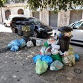 Cestini ricolmi di rifiuti domestici, succede in piazza Mazzini