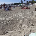 Baia dei Pescatori, ripulito il tratto di spiaggia libera