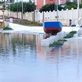 Il gozzo del lungomare Mongelli  pronto a prendere il largo?!