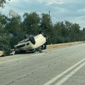 Grave incidente sulla Trani-Corato: auto si ribalta e finisce fuori strada