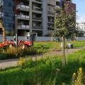 Ripartono i lavori nel parco di via delle Tufare