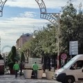 Allestimento botanico in piazza della Repubblica: possibile proroga fino a gennaio