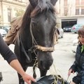 Molla tutto per viaggiare a cavallo in giro per l'Italia, è arrivato anche a Trani Cristian Moroni