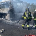 Un mezzo Flixbus in fiamme tra Andria e Canosa: illesi i passeggeri
