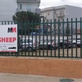 A Trani  "Black sheep MM ", una comoda soluzione contro i furti d'auto