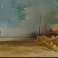 Incendio in un campo in zona Trani centro: intervenuti i Vigili del Fuoco