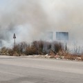 Brucia un terreno in via Grecia all'ingresso per la 16bis