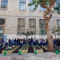 Inaugurati l'orto e il giardino didattico alla scuola De Amicis