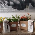 Alberto Corallo: stasera la vendita delle piantine fiorite di AmoPuglia per una festa speciale