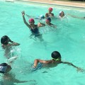  "Nuotiamo come... delfini ": grande successo per il Pon della scuola Bovio Rocca Palumbo