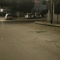 Avvistata volpe nella notte in via Jugoslavia