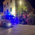 Cede un' enorme bouganvilllea in via Elena Comneno, travolte auto in sosta