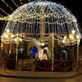  "Adesso è Natale! ": in una volta stellata  il presepe di Piazza Libertà a Trani