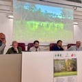 Dopo il meeting a Trani  "Gestire il verde pubblico ": qualcosa cambierà?