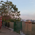 Vasto incendio nelle campagne della zona sud di Trani