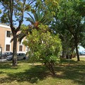 Riqualificata Piazza D’Agostino, vicino alla Scuola Giustina Rocca