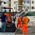 Ex pinetina di via Andria, in corso intervento di riqualificazione e sostituzione degli alberi