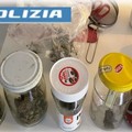 Trani: coltivava marijuana in casa, arrestato dalla Polizia di Stato