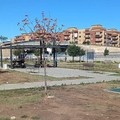 Pasquale De Toma:  "Parco di via delle Tufare, tra degrado, abbandono e malfuzionamento: "Trani merita tutto questo? "