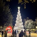 Un nastro di luce per l'albero di Natale in piazza a Trani