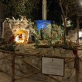 Svelato il dolce presepe di Piazza della Libertà, il più amato simbolo del Natale per i tranesi