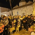 Sarà a San Rocco la benedizione di tutti gli animali per la festa di Sant'Antonio Abate: appuntamento al 17 gennaio